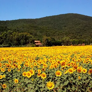 Agriturismo Valborgina Bauernhof Castiglione della Pescaia